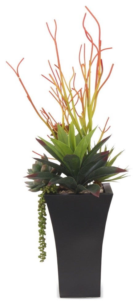 Pencil Cactus, Agave Arrangement, Black Square Metal Pot