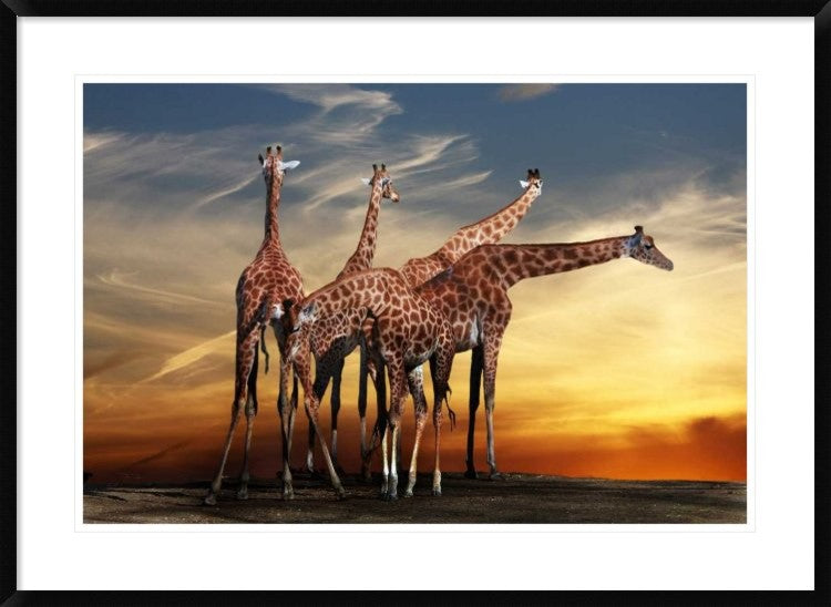 "Untitled" Framed Digital Print by Anna Cseresnjes, 38x27"