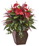 Anthurium Mixed Plant With Planter