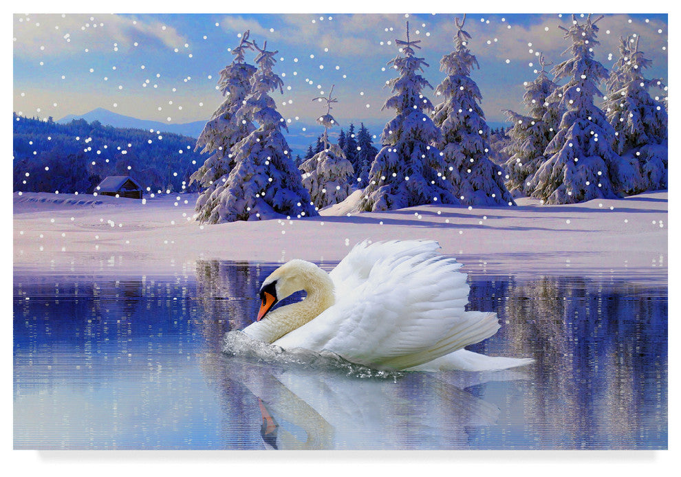 "Swan Winter" by Ata Alishahi, Canvas Art, 12"x19"