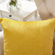 Milliken Plush Pillow Shell 2 Piece Set, Jojoba Yellow, 20" X 20"