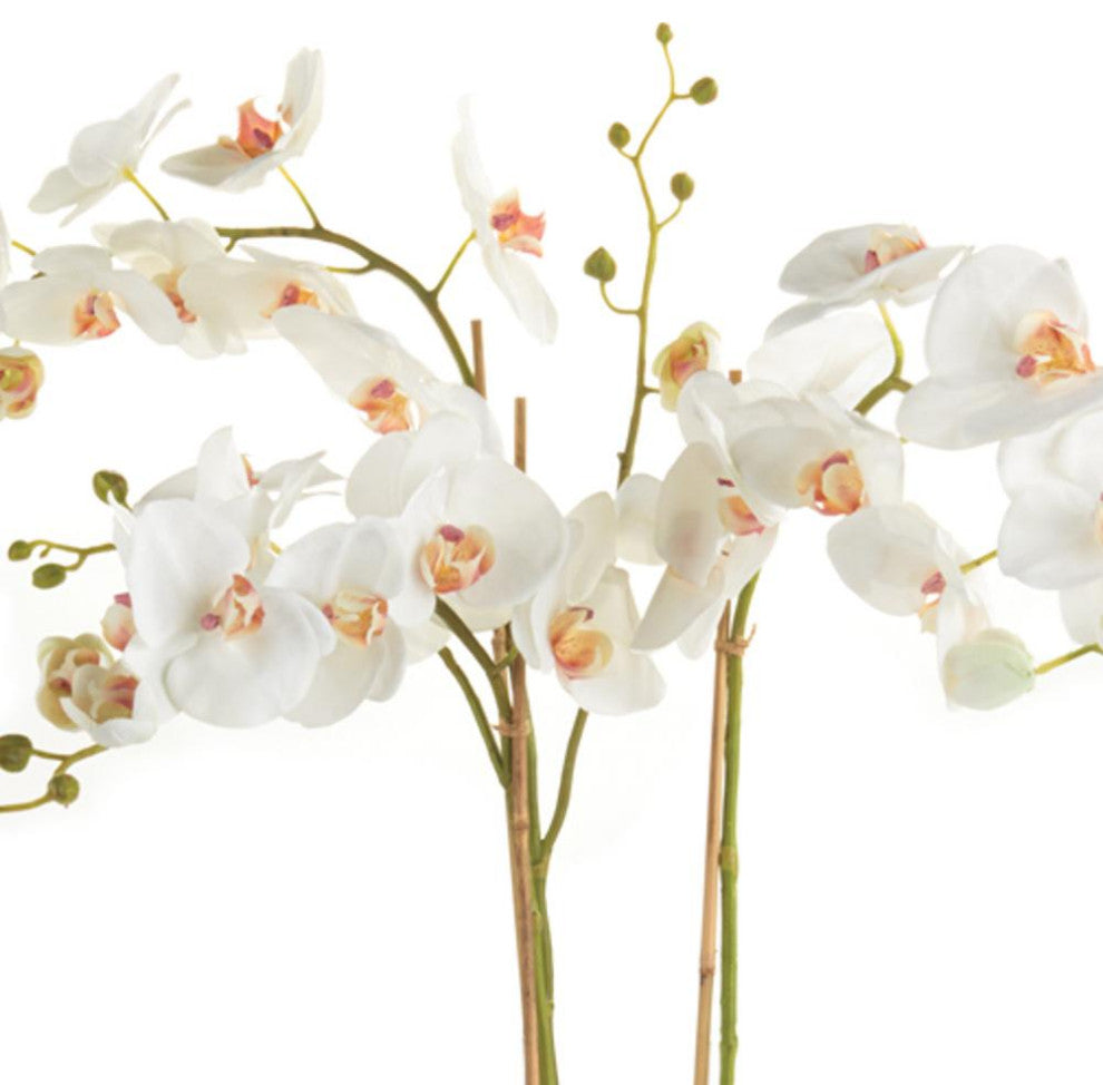 Double Stem White Phalaenopsis Orchid Faux Flower Artificial Plant Drop In