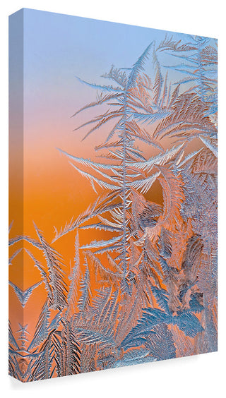 Hua Zhu 'Ice Flower' Canvas Art, 19"x12"