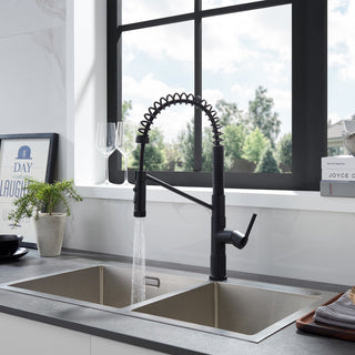 Nette Single-Handle Kitchen Faucet With Pull Down Sprayer, Matte Black