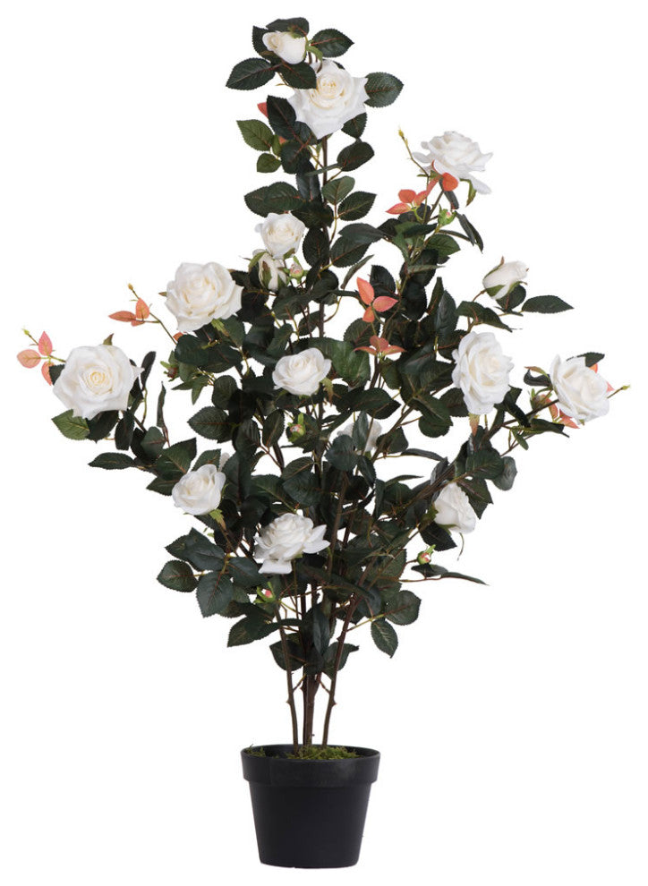 Vickerman 45" Rose Plant in Pot, White
