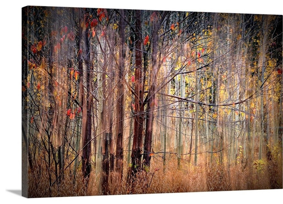 "Autumn Riot" Wrapped Canvas Art Print, 24"x16"x1.5"