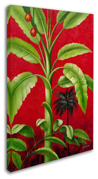'Tropical Palm II' Canvas Art by Victor Giton