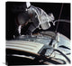 "Extra Vehicular Activity, Apollo 17, 1972" Artwork, 24"x24"