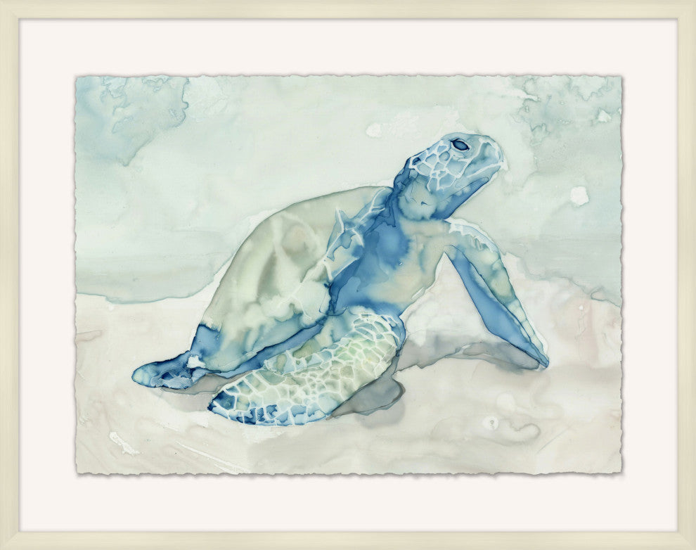 Australian Sea Turtle 1, Giclee Reproduction Artwork