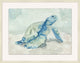 Australian Sea Turtle 1, Giclee Reproduction Artwork