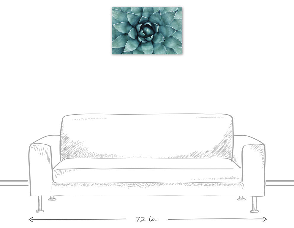 "Agave 3" Canvas Wall Art, 24"x16"