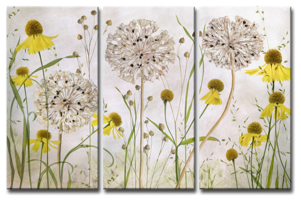 Ready2HangArt 'Alliums and Heleniums' 3-Piece Canvas Wall Decor Set, 36"x24"
