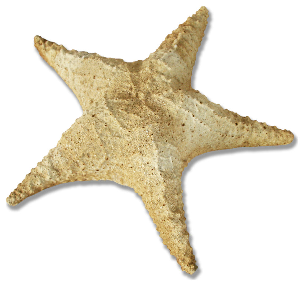 Starfish Pacific