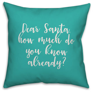 Dear Santa, Teal 18x18 Throw Pillow Cover