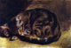 Pierre Auguste Renoir Sleeping Cat, 18"x27" Gallery Wrapped Canvas Print