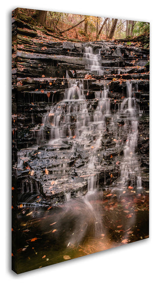 Jason Shaffer 'Hidden Falls' Canvas Art, 22x32