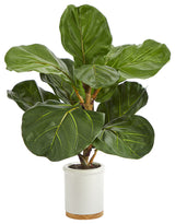 21" Fiddle Leaf Artificial Tree, White Ceramic Planter