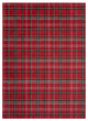 Nourison Grafix 6' x 9' Red Rustic Indoor Area Rug