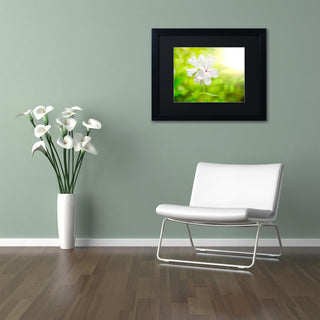 PIPA Fine Art 'Beauty of the Forest Floor' Matted Framed Art, 14x11