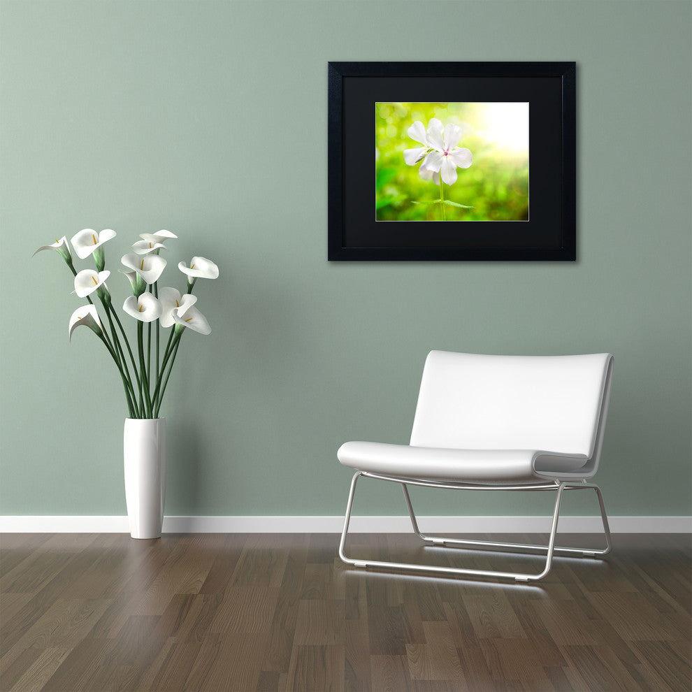 PIPA Fine Art 'Beauty of the Forest Floor' Matted Framed Art, 14x11