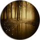 Lake In Forest With Fall Fog, Landscape Photo Round Metal Wall Art, 38"