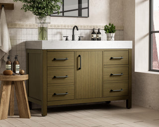 Home Living 48" Single Bathroom Vanity, Chestnut Brown