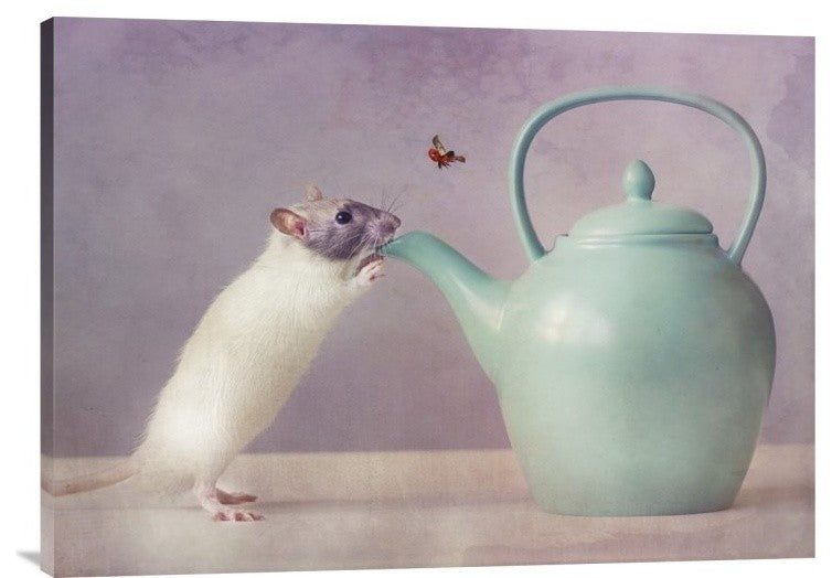 "Snoozy :)" Stretched Canvas Giclee by Ellen Van Deelen, 32x24"