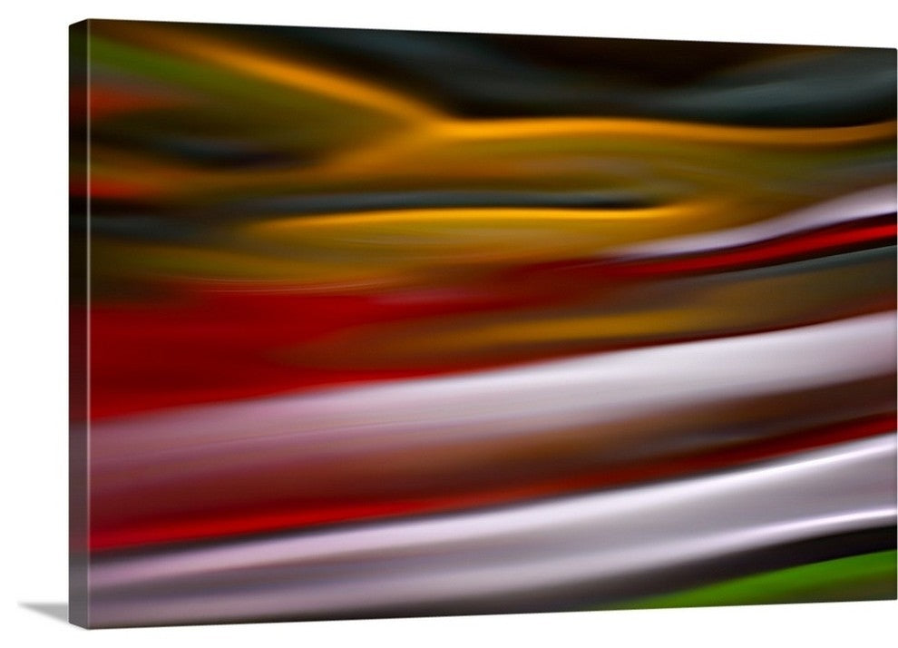 "Sleeping Bird" Wrapped Canvas Art Print, 24"x16"x1.5"