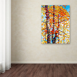 'Panoply' Canvas Art by Mandy Budan