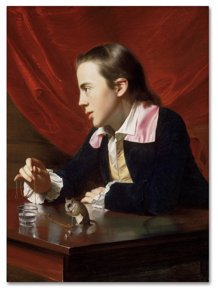 John Singleton Copley 'A Boy With A Flying Squirrel' Canvas Art, 47 x 35