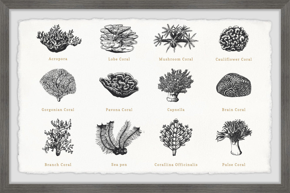 "Coral Collection" Framed Painting Print, 36x24