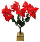 20" Red and Green Pre-Lit Fiber Optic Poinsettia Artificial Christmas Plant