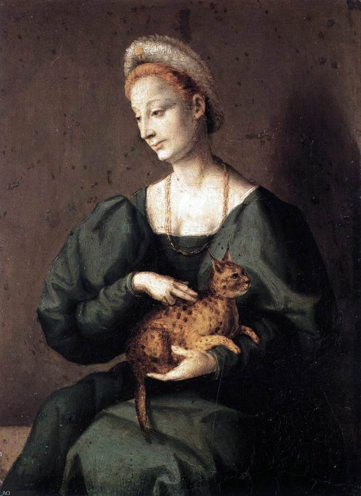 II Francesco Ubertini Bacchiacca Woman with a Cat Gallery Wrapped Canvas Print