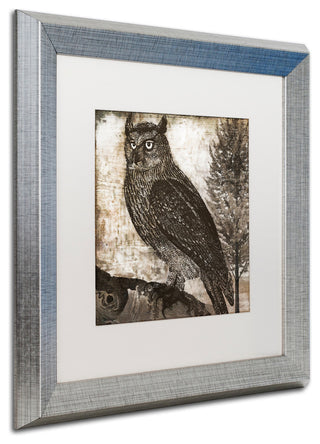 Color Bakery 'Owl 2' Art, Silver Frame, White Matte, 16"x16"