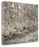 "Banc De Jardin - 87" By Alan Blaustein, Giclee Print on Gallery Wrap Canvas