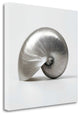 22" Contemporary Metallic Seashell Print on Gallery Wrap Canvas Wall Art