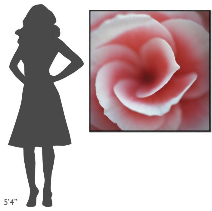 Begonia, 40"x40"