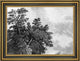 John Hill City Hall Framed Premium Canvas Print, 18"x27"