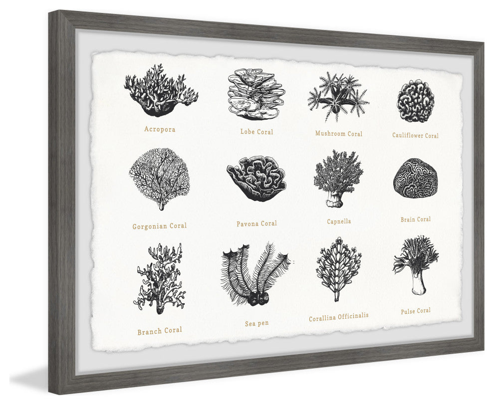 "Coral Collection" Framed Painting Print, 18x12