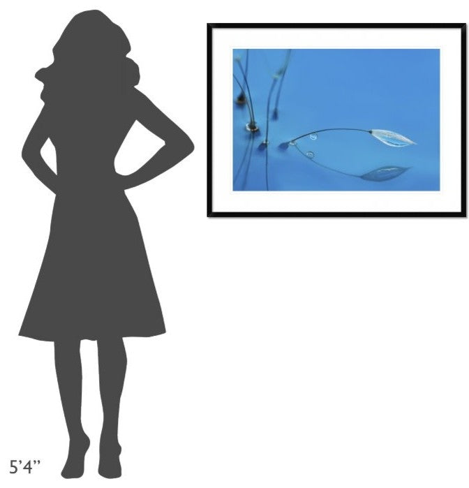 "Blue Water" Framed Digital Print by Heidi Westum, 38"x28"