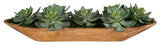 Uttermost Yuma Succulent Centerpieces