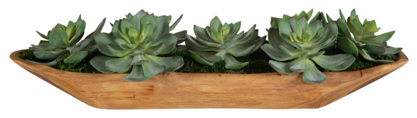 Uttermost Yuma Succulent Centerpieces