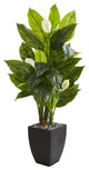 63" Spathyfillum Artificial Plant in Black Planter, Real Touch