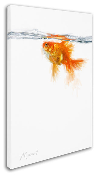 The Macneil Studio 'Goldfish' Canvas Art, 32"x22"