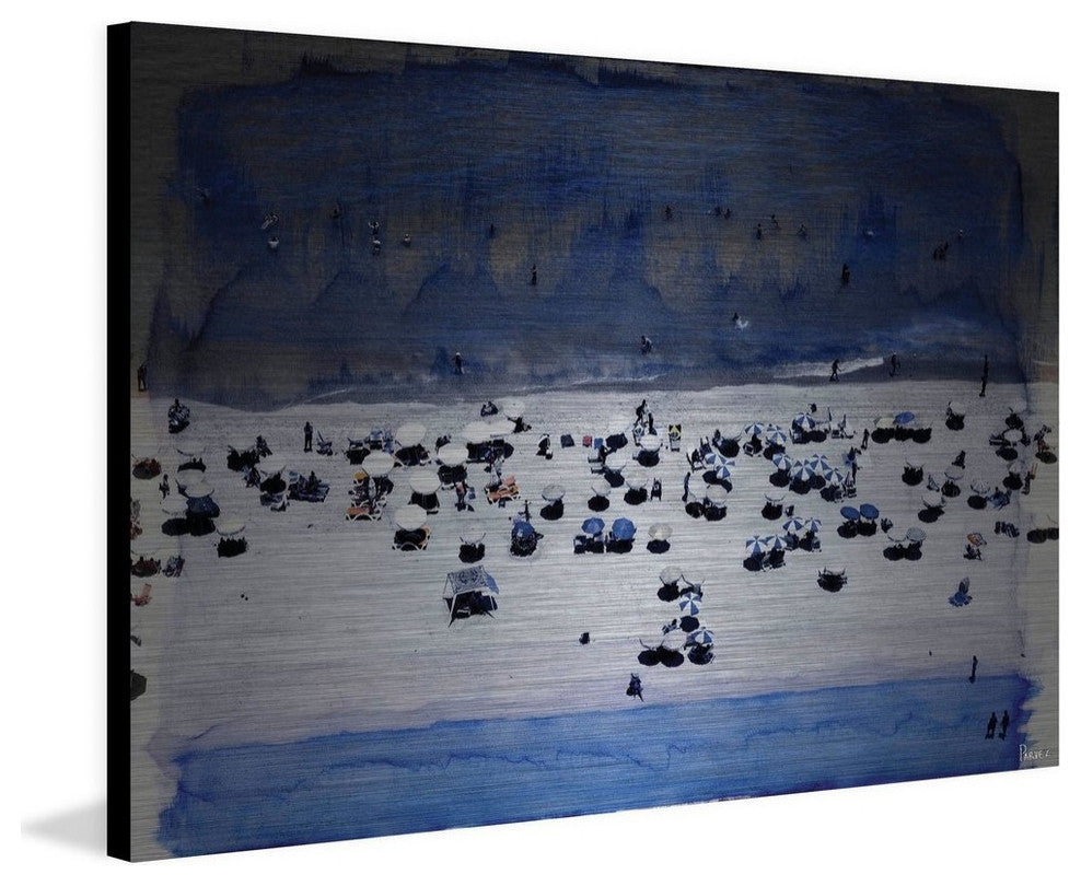 "Nem" Print on Brushed Aluminum, 36"x24"