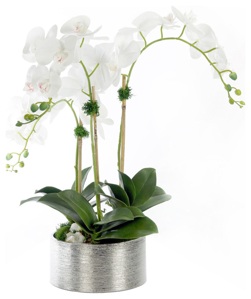 White Phalaenopsis Orchids with Geodes in Round Etched Pot