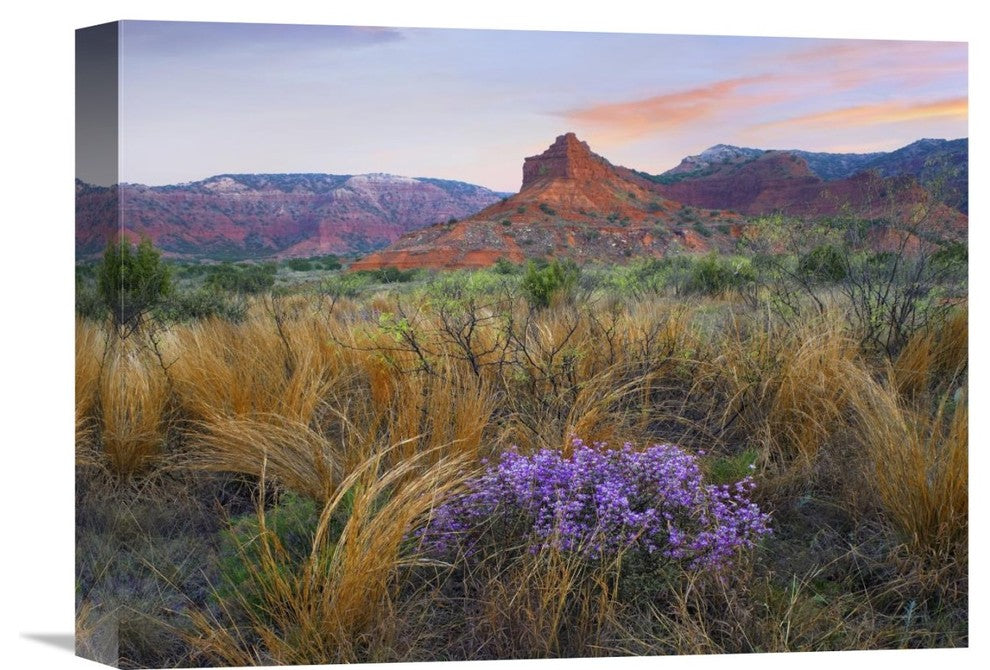 "Caprock Canyons State Park, Texas" Canvas Giclee by Tim Fitzharris, 16"x12"