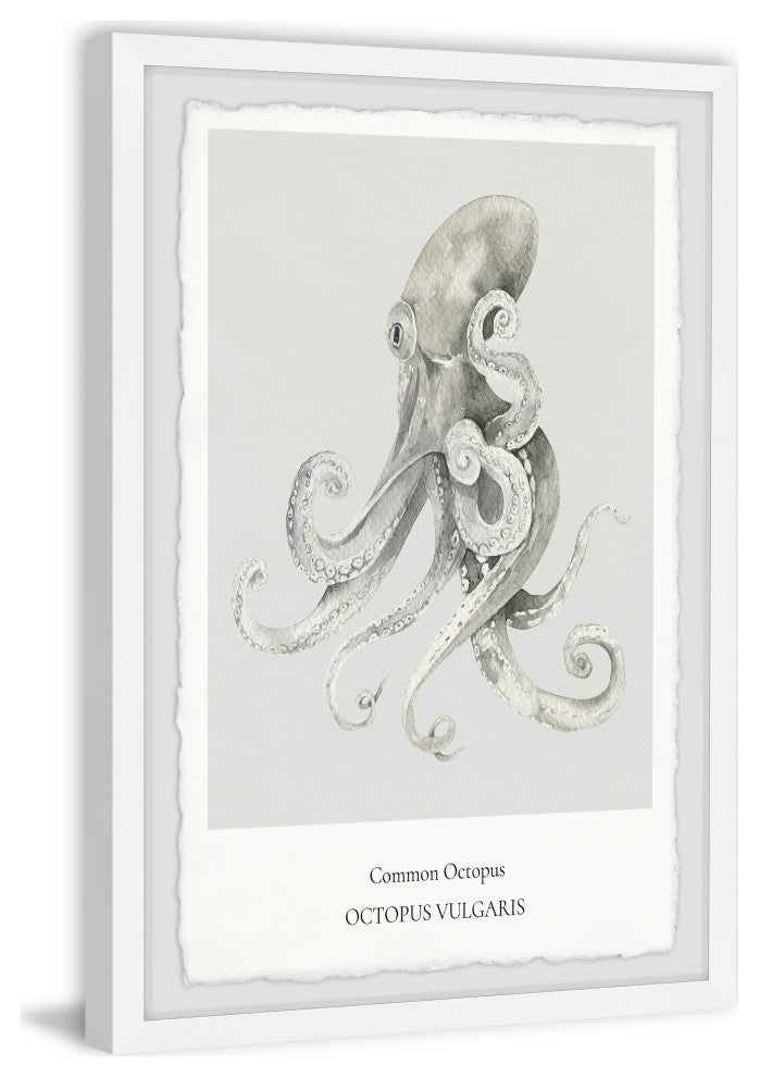 "Octopus Vulgaris" Framed Painting Print, 8x12