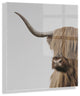 Highland Cow Crop  Acrylic Art by The Creative Bunch Studio, Assorted 23x23
