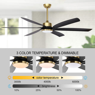 64" Reversible DC Motor Dimmable Ceiling Fan with Remote Control and Light Kit, Black/Gold
